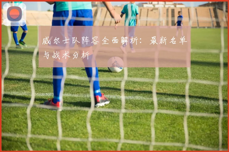 威尔士队阵容全面解析:最新名单与战术分析