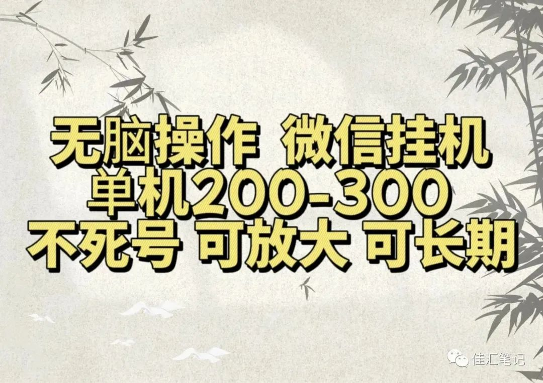 无脑操作微信视频号挂机单机200-300一天，不死号，可放大，工作室实测-91集赚创业网