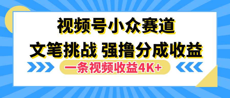 视频号小众赛道，文笔挑战，一条视频收益4K+-91集赚创业网