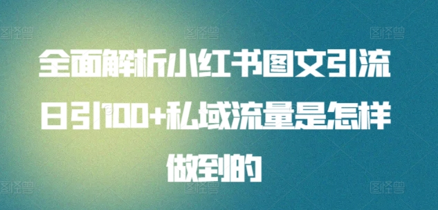暴力引流 小红书图文引流日引100私域全面拆解【打粉人必看】-91集赚创业网