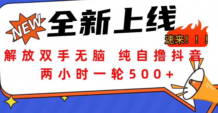 解放双手无脑 纯自撸抖音 两小时一轮500+-91集赚创业网