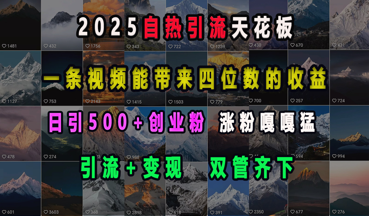 2025自热引流天花板，一条视频能带来四位数的收益，引流+变现双管齐下，日引500+创业粉，涨粉嘎嘎猛-91集赚创业网