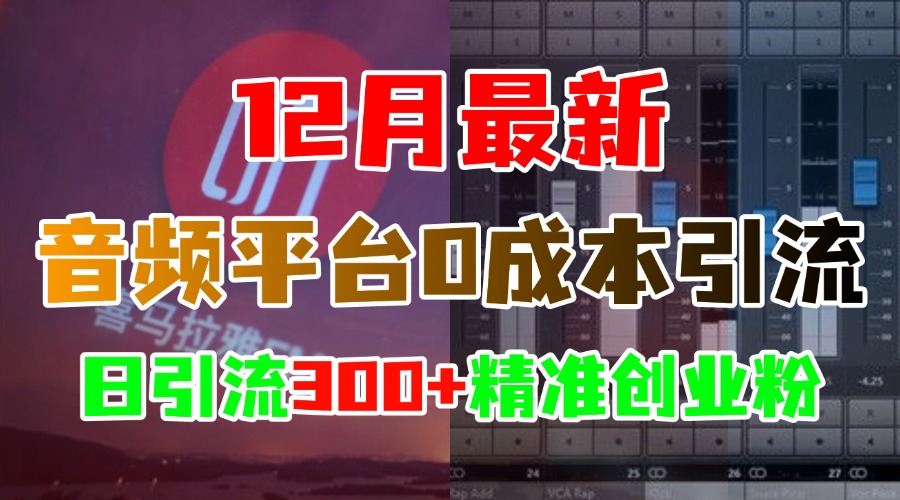 12月最新：音频平台0成本引流，日引300+精准创业粉-91集赚创业网