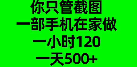 你只管截图,一部手机在家做,一小时120,一天500+-91集赚创业网