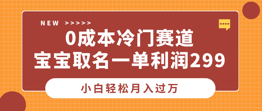 0成本冷门赛道，宝宝取名一单利润299，小白轻松月入过万-91集赚创业网