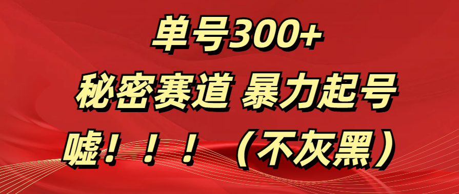 单号300+  秘密赛道 暴力起号  （不灰黑）-91集赚创业网