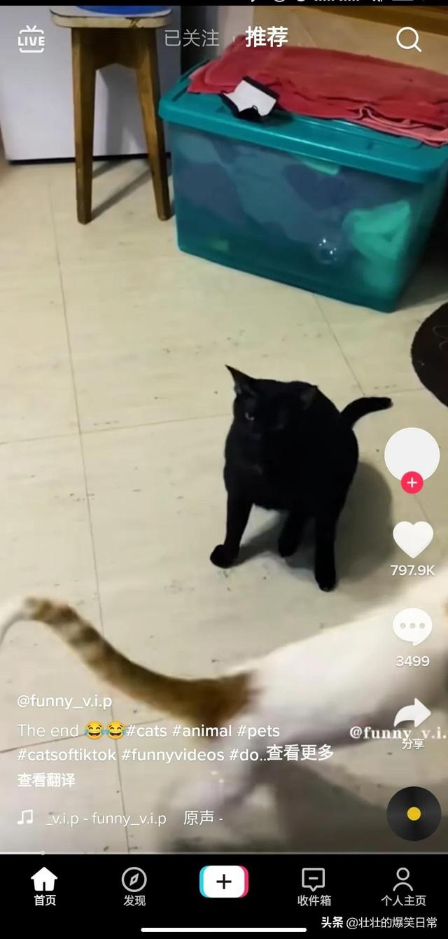 如何使用海外版抖音（国内怎样使用tiktok）-91集赚创业网