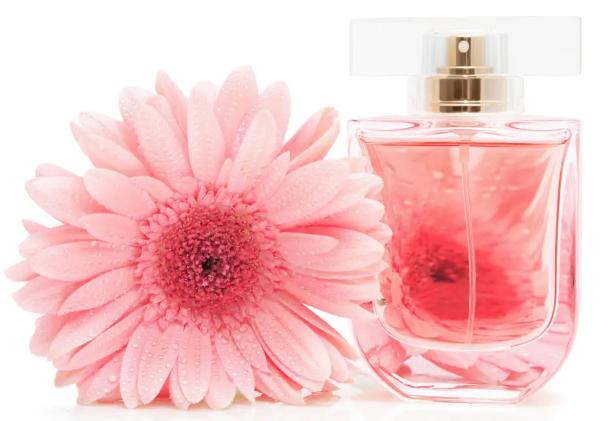 做什么副业比较好,副业的选择插图4 做什么副业比较好,副业的选择插图4