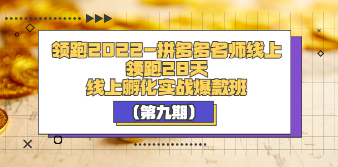 【副业项目3821期】拼多多名师线上领跑28天，拼多多线上孵化实操爆款班（第九期）-91集赚创业网