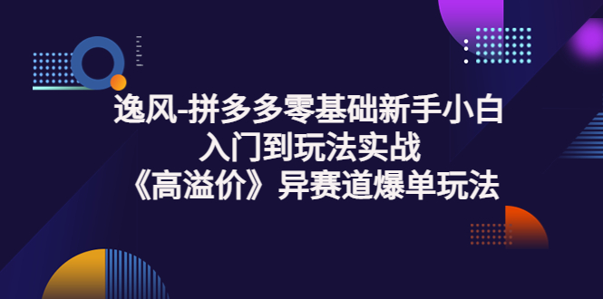 【副业项目3877期】逸风-拼多多新手小白入门到玩法实战，异赛道爆单玩法实操课-91集赚创业网