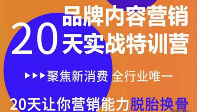 【副业项目3899期】《内容营销实操特训营》20天让你营销能力脱胎换骨（价值3999）-91集赚创业网