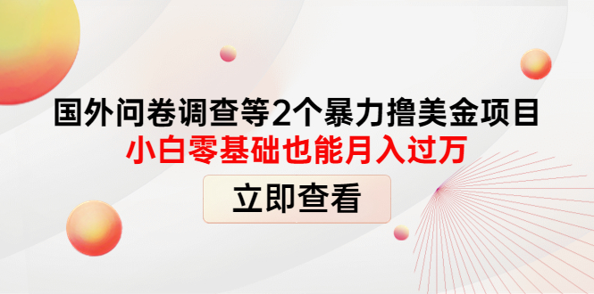 【副业项目4372期】国外问卷调查等2个暴力撸美金项目，小白零基础也能月入过万-91集赚创业网