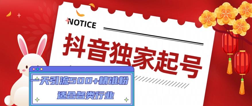 【副业项目5106期】抖音独家起号，一天引流500+精准粉，适合各类行业（9节视频课）-91集赚创业网