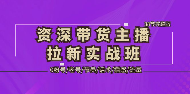 【副业项目5333期】资深·带货主播拉新实战班，0粉号/老号/节奏/话术/播感/流量-38节完整版-91集赚创业网