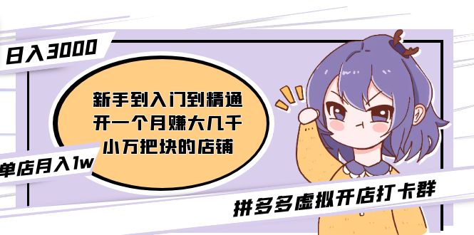 【副业项目5202期】拼多多虚拟开店打卡群:入门到精通(昨日群里有小伙伴日入3000+)-91集赚创业网