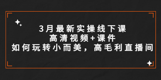【副业项目5675期】3月最新实操线下课高清视频+课件，如何玩转小而美，高毛利直播间-91集赚创业网