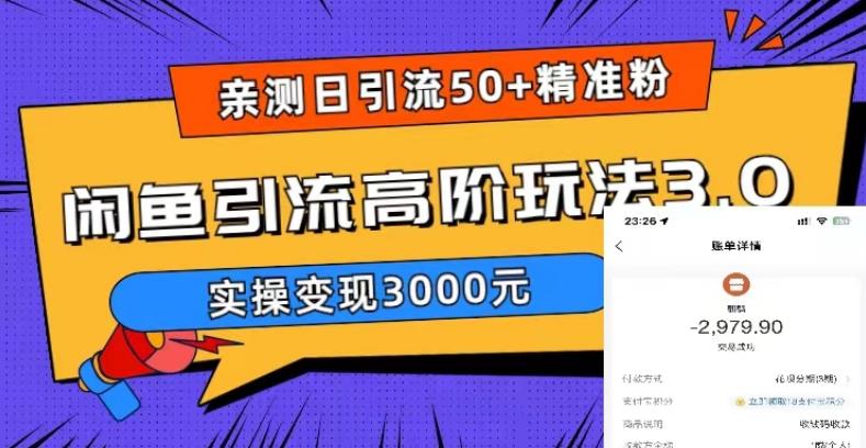 【副业项目5795期】实测日引50+精准粉，闲鱼引流高阶玩法3.0，实操变现3000元-91集赚创业网