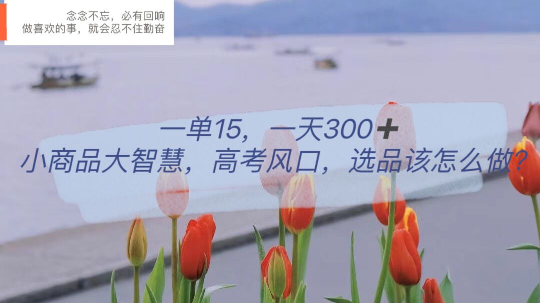 【副业项目6119期】一单15，一天300+，小商品大智慧，高考风口，选品该怎么布局-91集赚创业网
