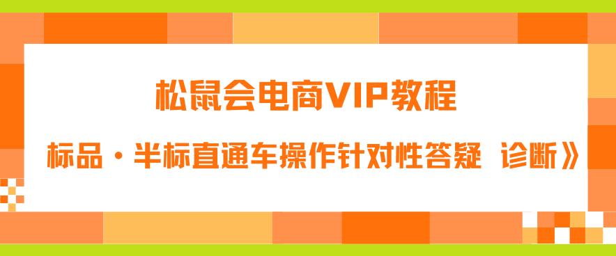 【副业项目6373期】松鼠会电商VIP教程：松鼠《付费推广标品·半标直通车操作针对性答疑&诊断》-91集赚创业网