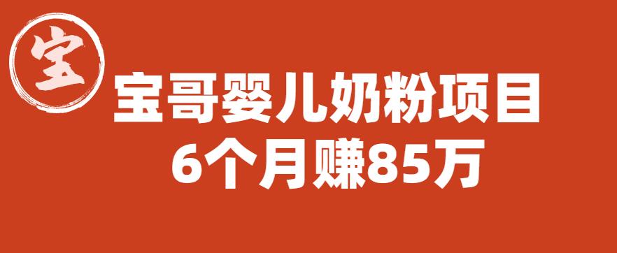 【副业项目6416期】宝哥婴儿奶粉项目，6个月赚85w【图文非视频】【揭秘】-91集赚创业网