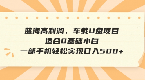 【副业项目6781期】蓝海高利润，车载U盘项目，适合0基础小白，一部手机轻松实现一天500+-91集赚创业网