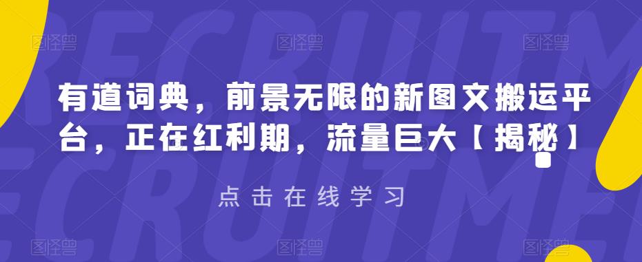 【副业项目6843期】有道词典，前景无限的新图文搬运平台，正在红利期，流量巨大【揭秘】-91集赚创业网