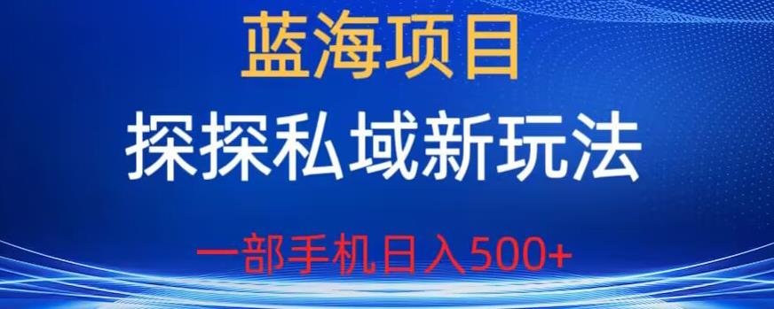 【副业项目6894期】蓝海项目，探探私域新玩法，一部手机日入500+很轻松【揭秘】-91集赚创业网