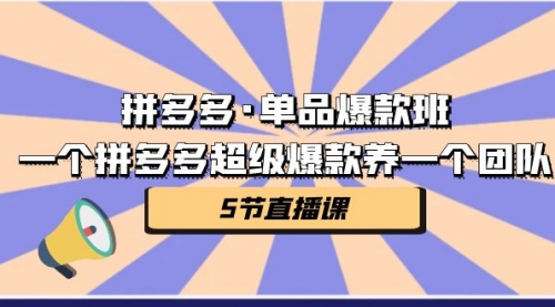 【副业项目第7171期】拼多多·单品爆款班，一个拼多多超级爆款养一个团队-91集赚创业网