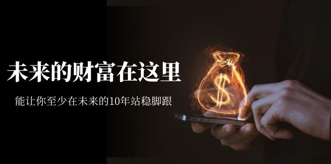 【副业项目7298期】某收费文章《未来的财富在这里》能让你至少在未来的10年站稳脚跟-91集赚创业网