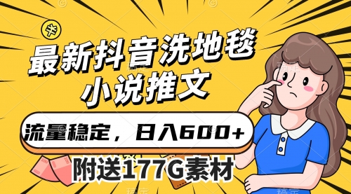 【副业项目7638期】最新抖音洗地毯小说推文，流量稳定，一天收入600（附177G素材）-91集赚创业网