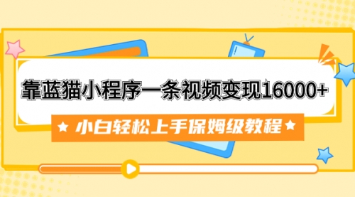 【副业项目7909期】靠蓝猫小程序一条视频变现16000+小白轻松上手保姆级教程（附166G资料素材）-91集赚创业网