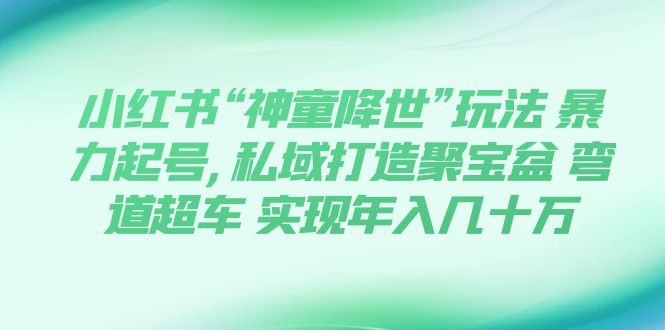 【副业项目7983期】小红书“神童降世”玩法 暴力起号,私域打造聚宝盆-91集赚创业网