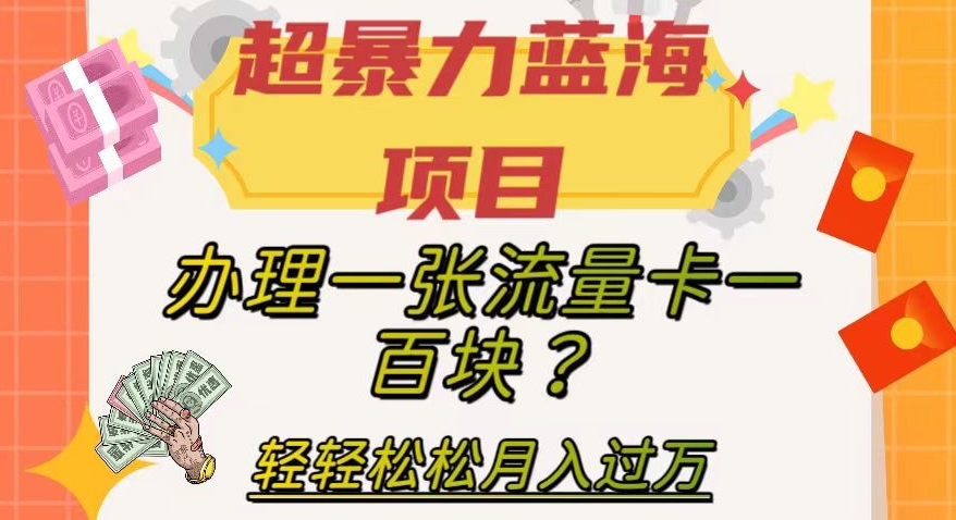 【副业项目8024期】超暴力蓝海项目，办理一张流量卡一百块？轻轻松松月入过万，保姆级教程【揭秘】-91集赚创业网