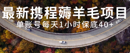 【副业项目8232期】最新携程薅羊毛项目，单账号每天1小时保底收益40+，可矩阵操作-91集赚创业网