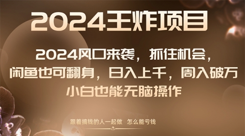 【副业项目8548期】2024闲鱼翻身项目，小白也可做-91集赚创业网