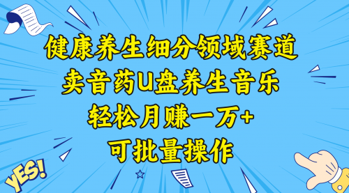 【副业项目8638期】健康养生细分领域赛道，卖音药U盘养生音乐，轻松月赚一万+，可批量操作-91集赚创业网