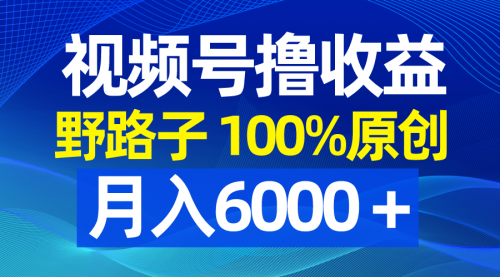 【副业8771期】视频号野路子撸收益，100%原创，条条爆款，月入6000＋-91集赚创业网