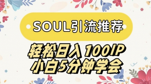 【副业9006期】SOUL引流推荐 轻松日入100IP 小白5分钟学会-91集赚创业网
