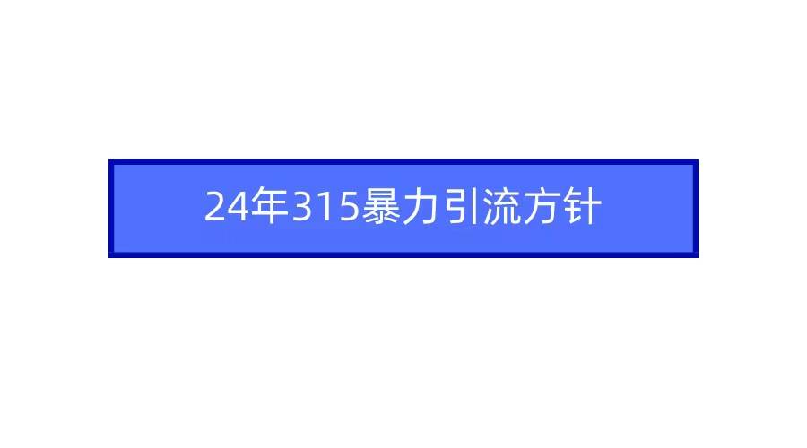 2024年315暴力引流方针-91集赚创业网