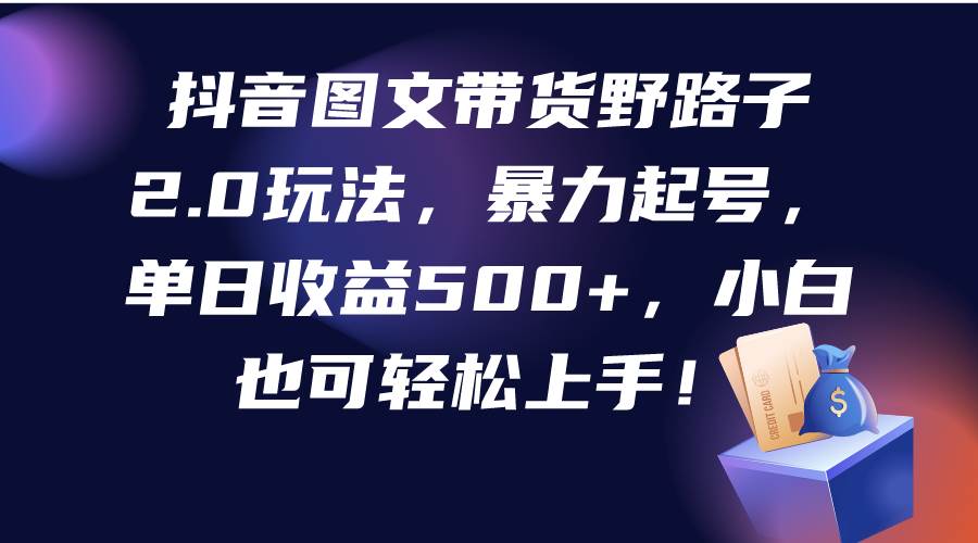 抖音图文带货野路子2.0玩法，暴力起号，单日收益500+，小白也可轻松上手！-91集赚创业网