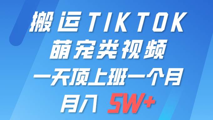 一键搬运TIKTOK萌宠类视频 一部手机即可操作 所有平台均可发布 轻松月入5W+-91集赚创业网