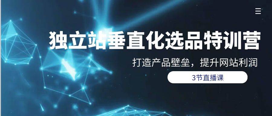 独立站-垂直化选品训练营，打造产品壁垒，提升网站利润（3节直播课）-91集赚创业网