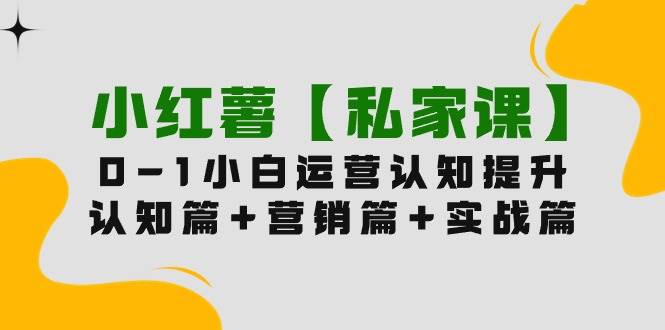 小红薯【私家课】0-1玩赚小红书内容营销，认知篇+营销篇+实战篇（11节课）-91集赚创业网