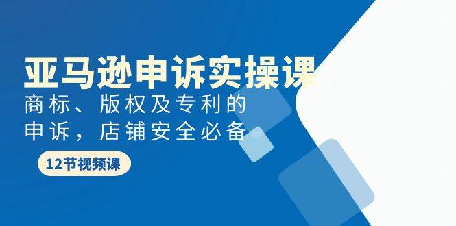 亚马逊-申诉实战课，商标、版权及专利的申诉，店铺安全必备-91集赚创业网