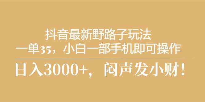 抖音最新野路子玩法，一单35，小白一部手机即可操作，，日入3000+，闷…-91集赚创业网
