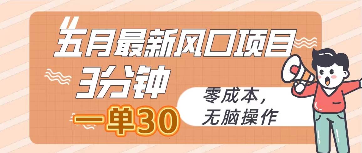 五月最新风口项目，3分钟一单30，零成本，无脑操作-91集赚创业网