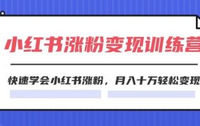 2024小红书涨粉变现训练营，快速学会小红书涨粉，月入十万轻松变现(40节)-91集赚创业网