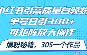 小红书引高质量白领粉,单号日引300+,可放大操作,爆粉秘籍!30s一个作品-91集赚创业网