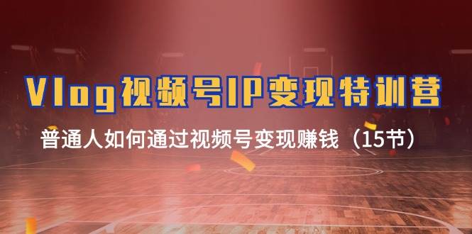 Vlog 视频号IP变现特训营,普通人如何通过视频号变现赚钱(15节)-91集赚创业网