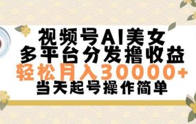 视频号AI美女，轻松月入30000+,操作简单轻松上手-91集赚创业网